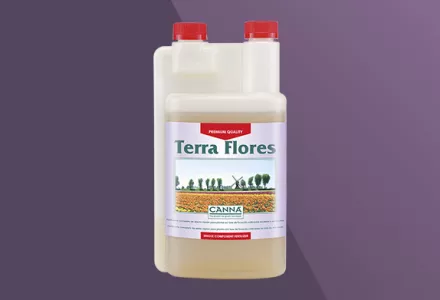 CANNA Terra Flores